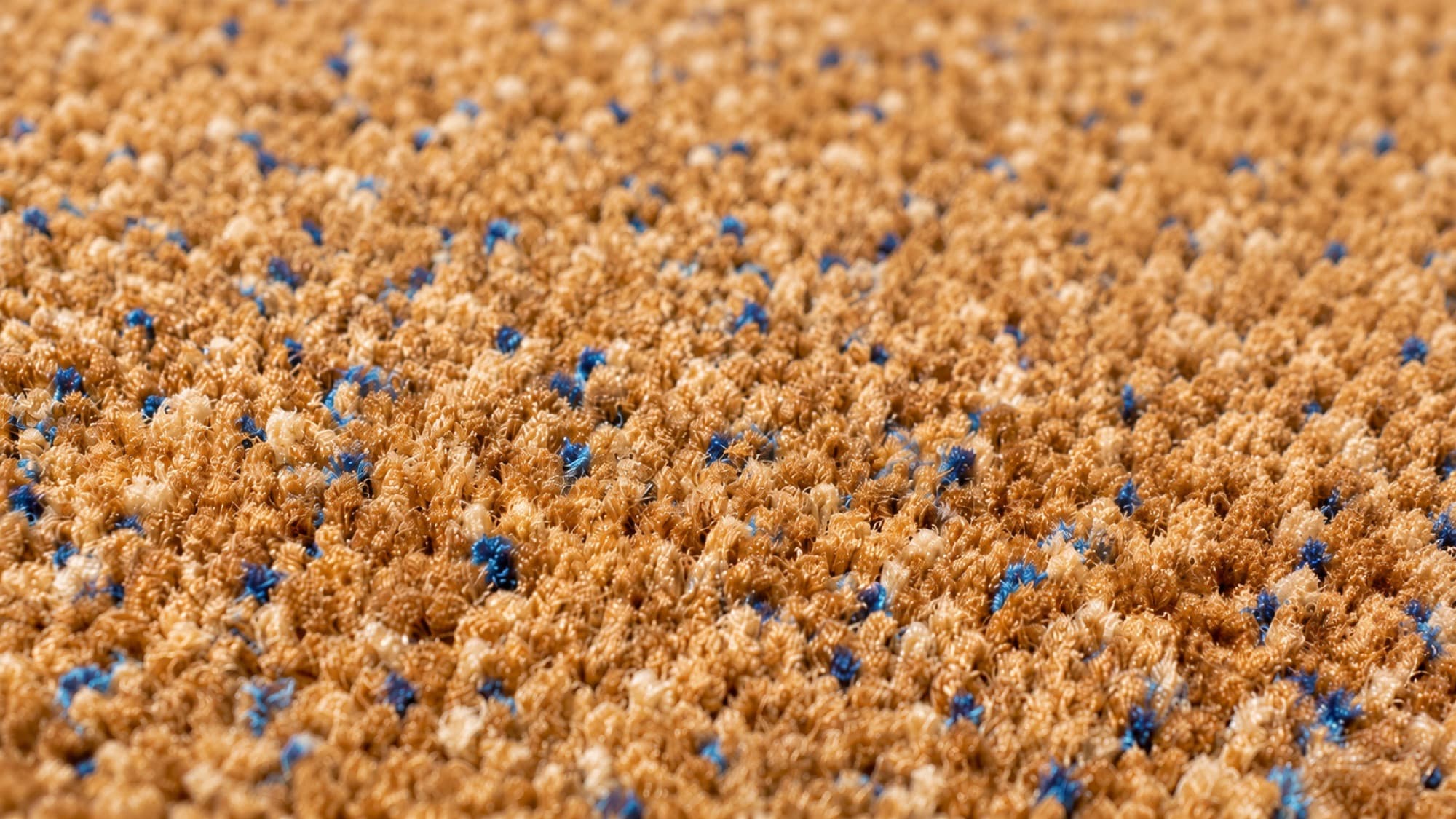 Up Close — Carpet Fiber Detail